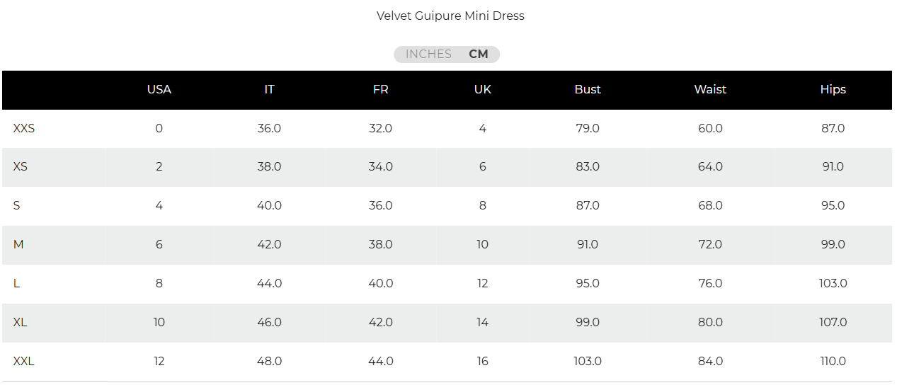 VELVET GUIPURE MINI DRESS